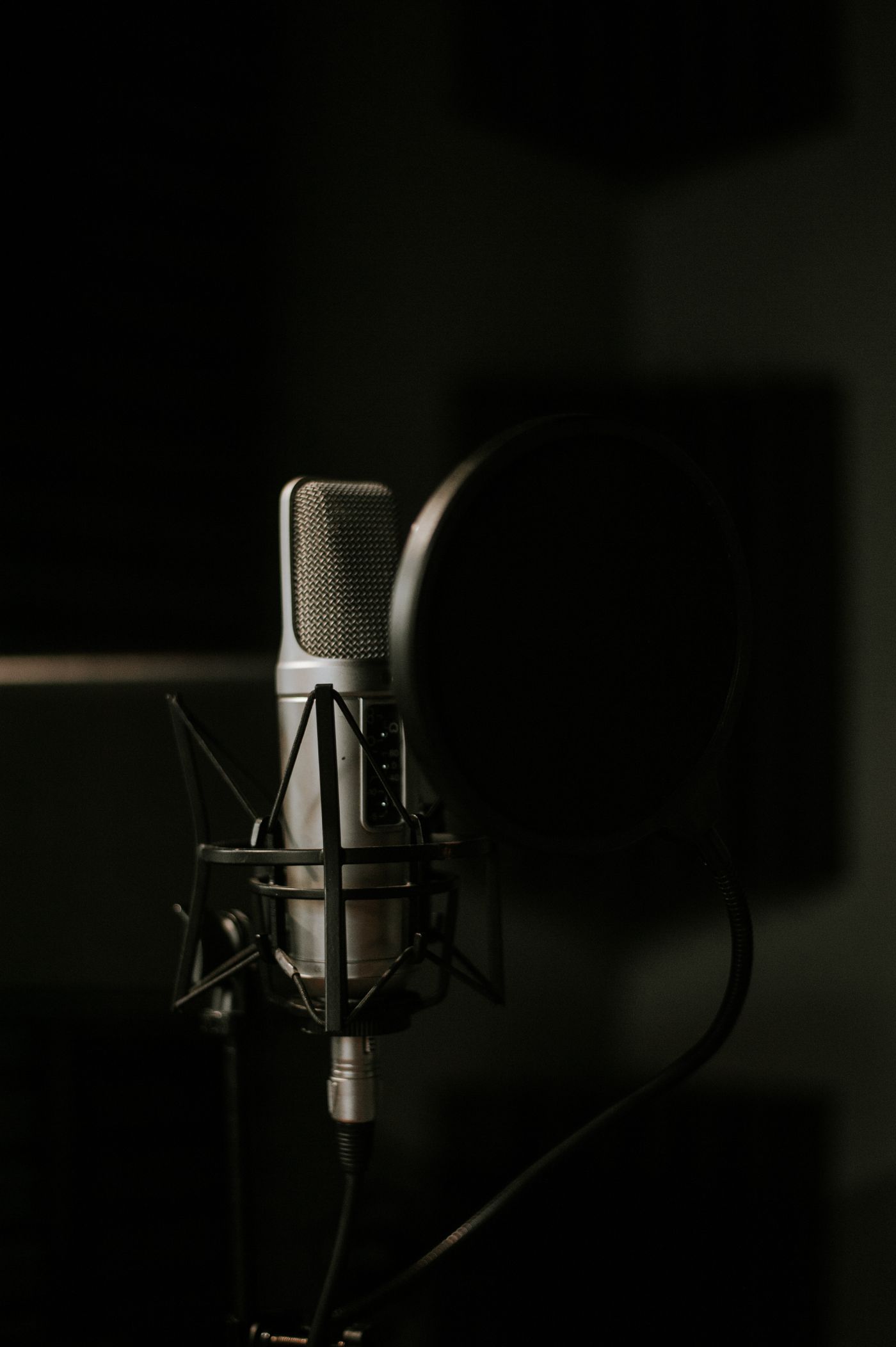 A studio microphone with a pop filter